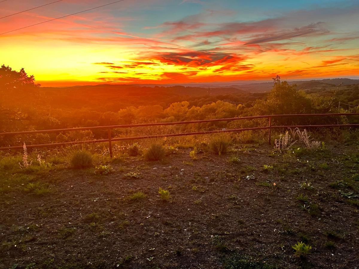 B&B Il tramonto Barbarano Romano Esterno foto
